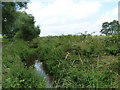 County border along the Back Brook