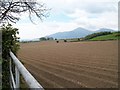 Ploughed land on Wateresk Hill