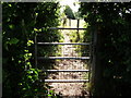 Gate at junction of footpaths near Red Lane