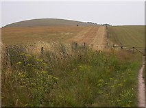 TQ0909 : Blackpatch Hill seen from bridleway towards Chantry Post by Shazz