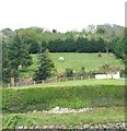 Valley side field enclosed by forest