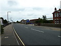 Lampposts in Brougham Road