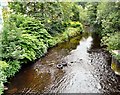 River Tame