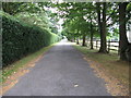 Bridleway passing Hascombe Court