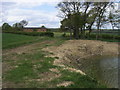 Bridleway by Pond