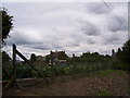 Allotments at Marsh Lane