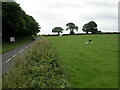 Tavistock, footpath