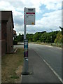 Unusual bus stop