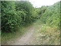 Axholme Trail looking south