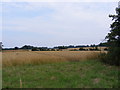 TM3661 : Fields off Silverlace Green by Geographer