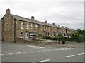 Dene Terrace, Walbottle