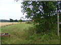 TM3662 : Footpath to St.Mary's  Church, Benhall by Geographer