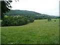 Pasture leading down to River Ardle