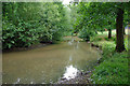 Linear pond, Broadbridge Heath