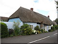 Thatched cottage, Briantspuddle