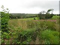 Drumowen Townland