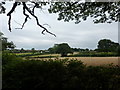 Farmland near Calow Hospital