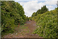 Remains of old road to Nursling Mill