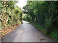 Lon Pin south of Wern Fawr Farm