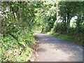  : Lon Pin north of Wern Fawr by Eric Jones