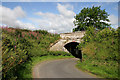 A country road and bridge near Rutherford Farm