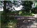 Farm Track doubling as a public footpath