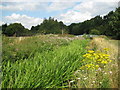 Ingrebourne River in Upminster