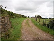 SH3137 : Farm road leading to Hendre by Eric Jones