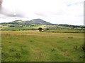 Farmland west of Hendre