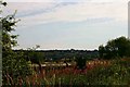 Looking towards Darfield from Wombwell