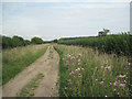 Woodend Lane south of Hill