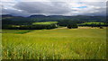 NN8420 : Barley Field near Lochlane by Eleanor Miller