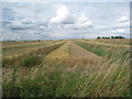 SE7802 : Strip fields at Low Burnham by Jonathan Thacker