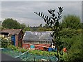 View of Allotments at Meersbrook/Carfield