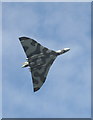 Vulcan bomber at RNAS Culdrose Air Day 2010