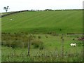 Ridge and furrow above the stream