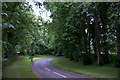 Road to Kinpurnie Castle, near Newtyle