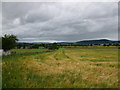 NH7045 : Field at Ashton Farm by don cload