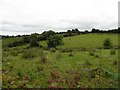 Derryloo Townland