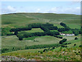 Elenydd hillside with farm, east of Llanddewi-Brefi, Ceredigion