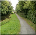 Cwmbran : canal path approaching Hollybush Way from the north