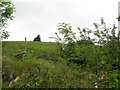 Eshnadarragh Townland