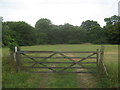 Gate to College Wood