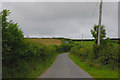 The road to Gilfach-yr-Halen