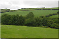 Fields in Cwm Gilfach