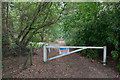 Access road to former St Leonards Hospital