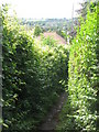 Footpath between Leazes Lane and Beech Hill