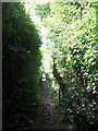 Footpath between Leazes Lane and Beech Hill (3)