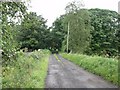 Track to Garmore, near Glorat House