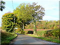 View to Berrow Wood